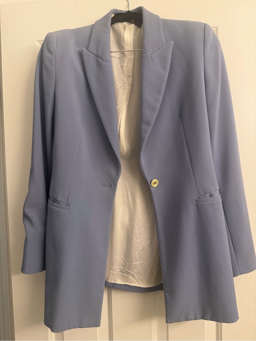 Zara Powder Blue Single-Button Blazer with Gold Buttons